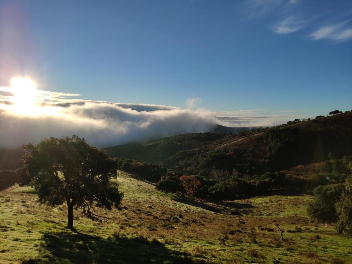 El Trepador Azul