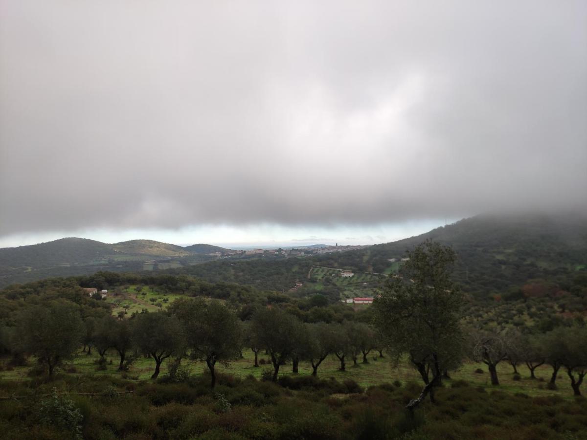El Trepador Azul * Cabeza la Vaca